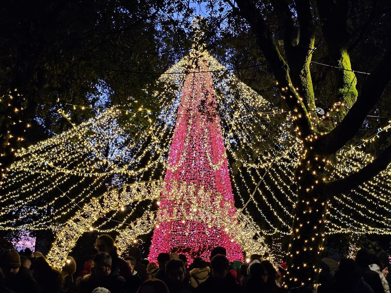 A Stroll to Admire the Christmas Lights in Arezzo