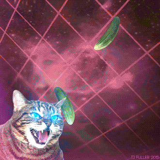 lasercat.gif