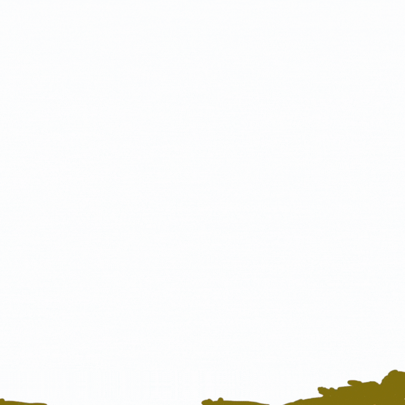 background.gif