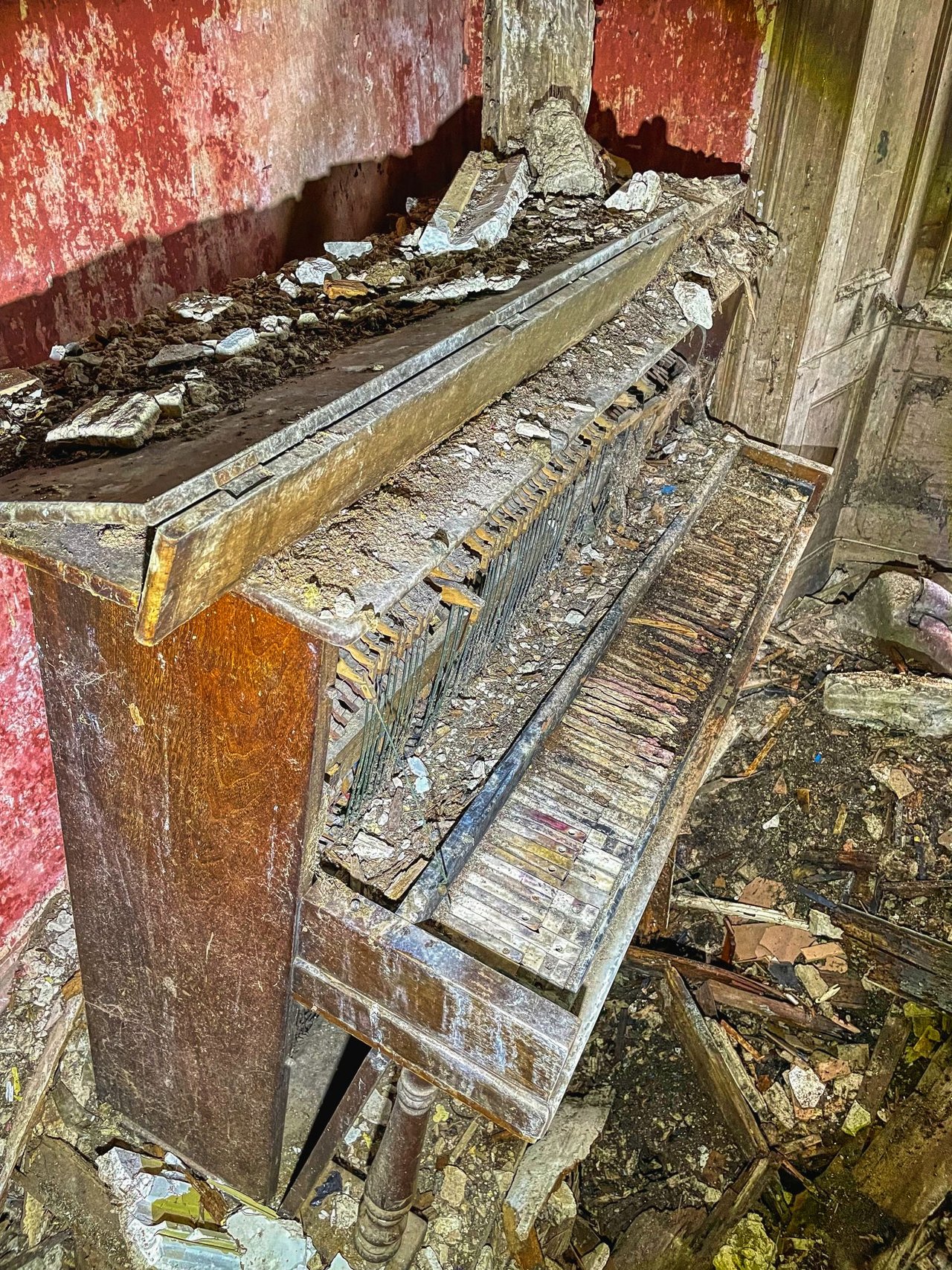 https://files.peakd.com/file/peakd-hive/slobberchops/23vi1wyTFsPVbCoeUsZ5NRGRZArZhwFMowsif4EQupNMSGFPR8A9MKdHUmMdTBV3dWTth.jpg