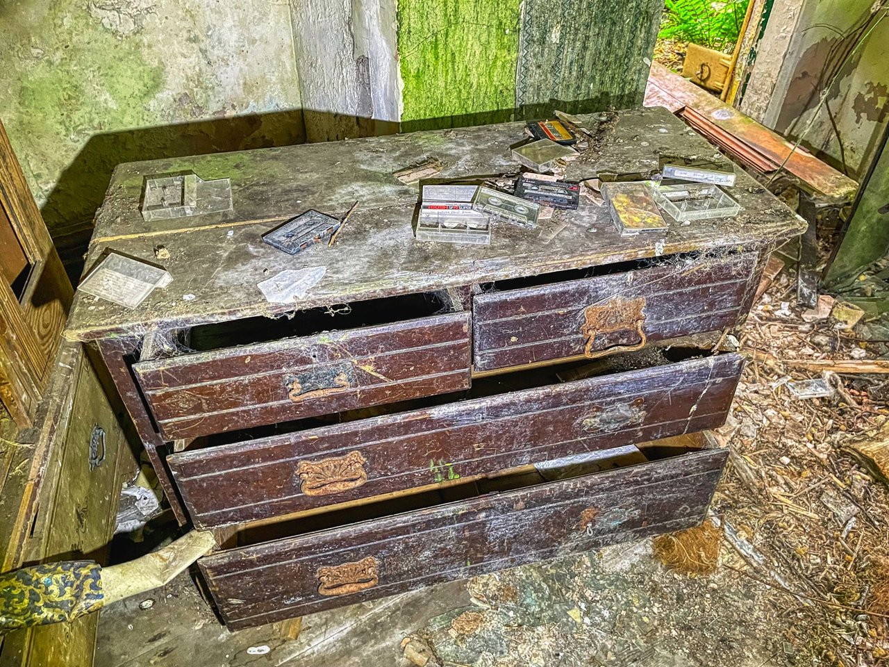 https://files.peakd.com/file/peakd-hive/slobberchops/EogPDYKLnLTaKv6MQsDbaZDFxWLEsadahsQtyGSndjWsXGtD7dQegqaxTFdAKLnMdnd.jpg
