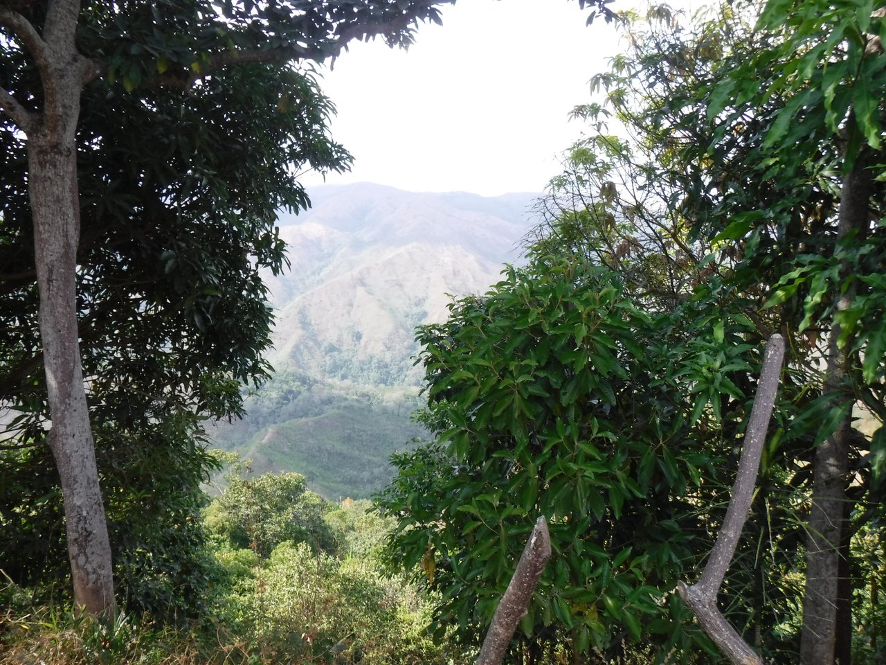 That's the thing about the mountain / Eso es lo que tiene la montaña