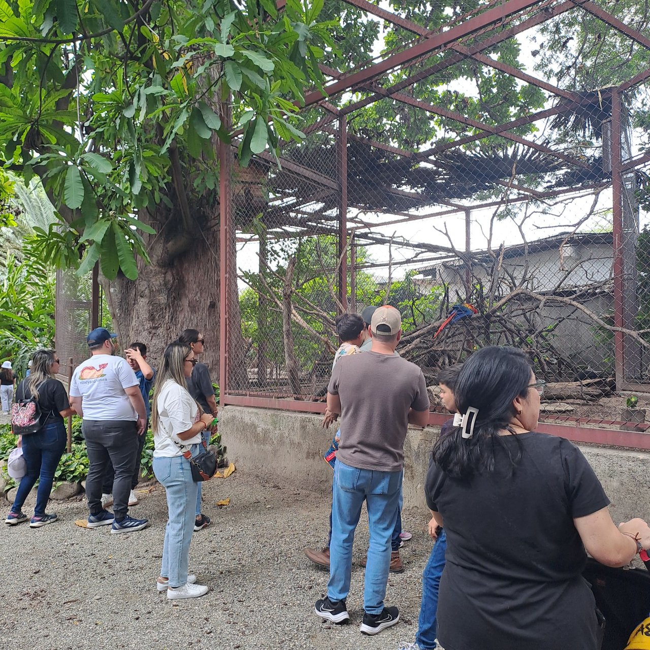 https://files.peakd.com/file/peakd-hive/soyunasantacruz/AJhZ29yGEVQdNcEur7fvpLwJecrdjW2N87FJDFresrS9gWCYMpg9r8EigkyAKp2.jpg