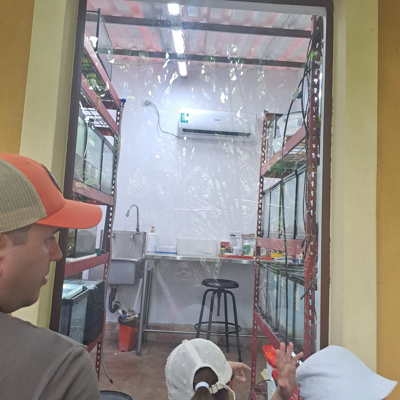 https://files.peakd.com/file/peakd-hive/soyunasantacruz/AK2E3YACrXf5kFERCKP5psyvhabBbPQ54Km69By9rUuDX5SxfJcHQQu4JUKn4F5.jpg