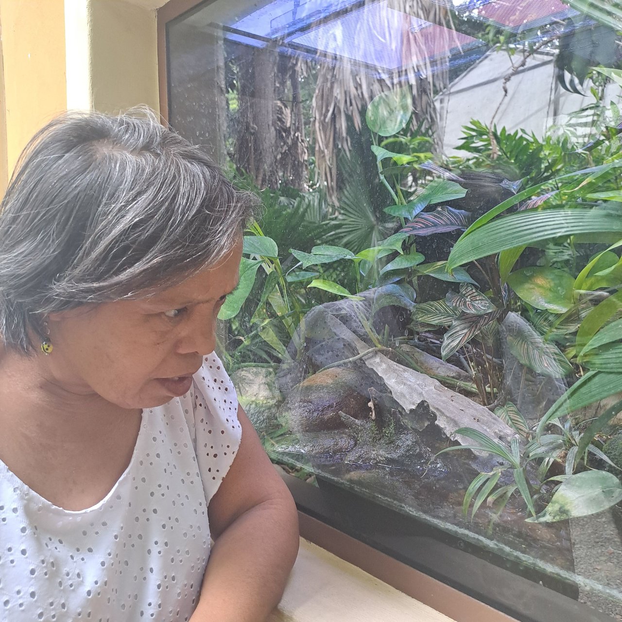 https://files.peakd.com/file/peakd-hive/soyunasantacruz/AKJ1ctcN4mVqDm2JwHkpxN7LfoP8rj716d2CpUyGs8iP7rGjnPnvntw1TsdZMnw.jpg