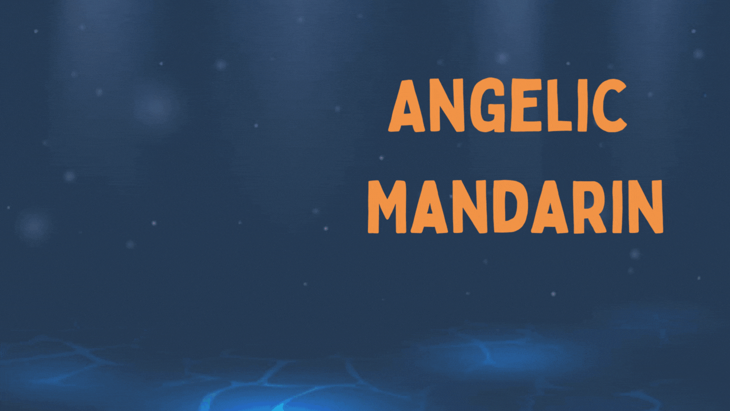 Angelic Mandarin.gif
