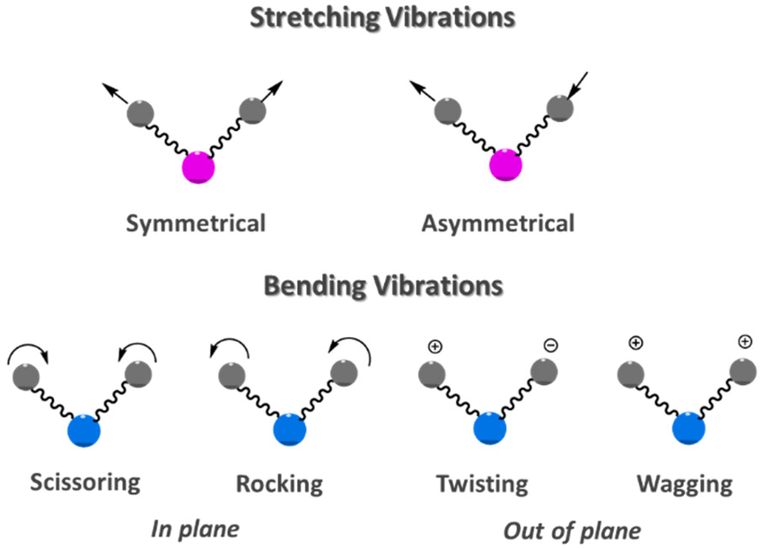 Molecular Vibrations Explained