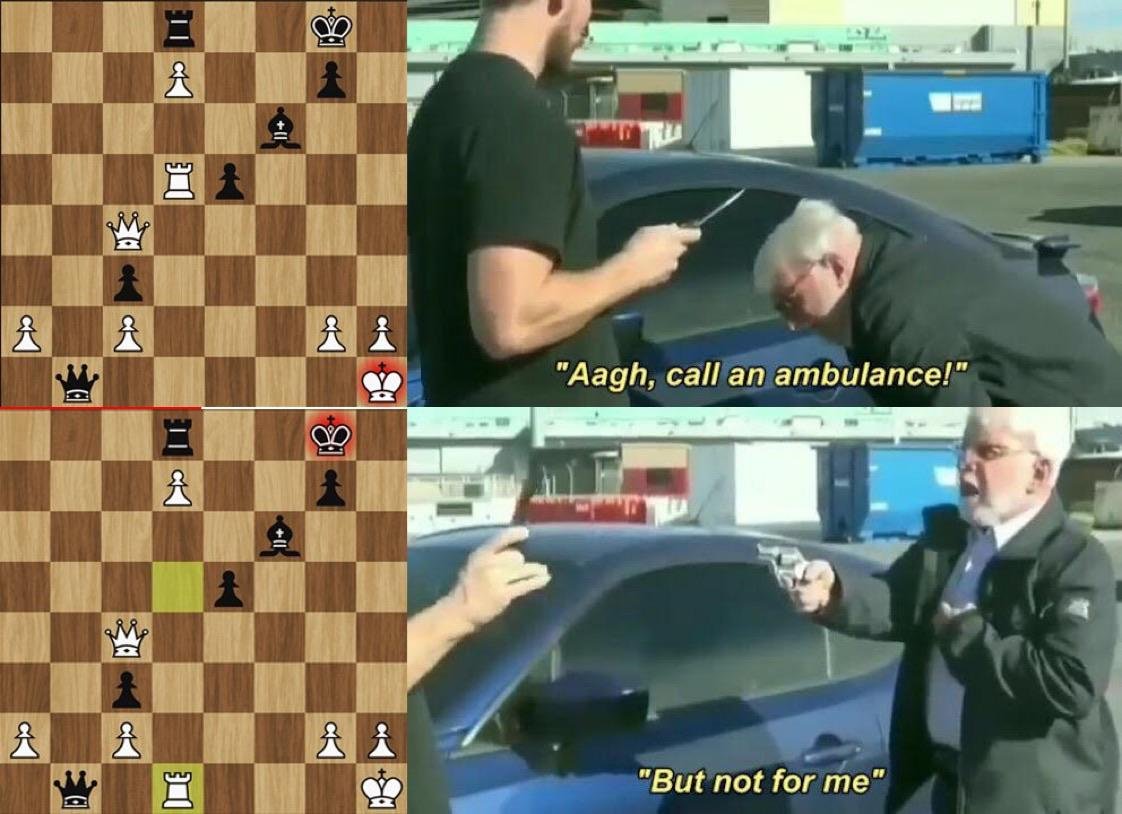 Chess memes? #chess #memes