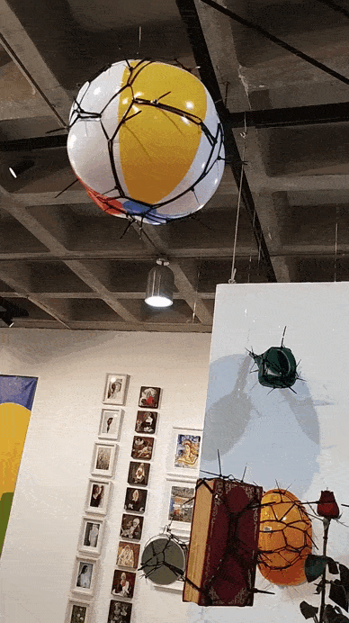 VID_20250405_135415.gif