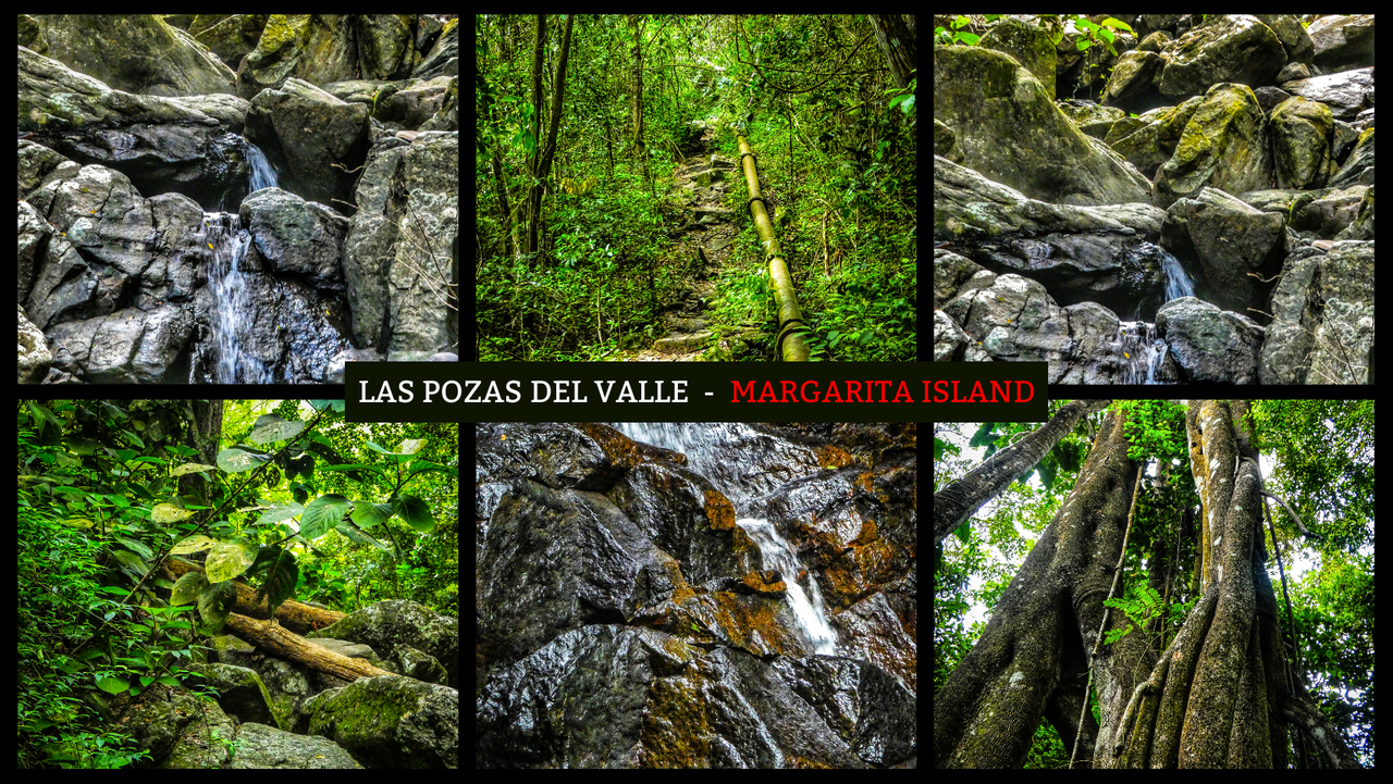 ¡Las Pozas del Valle, en el Parque Nacional Cerro Copey - Isla de Margarita! 🏞 [ESP/ENG]