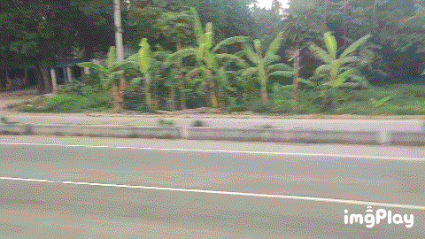 1000032671.gif