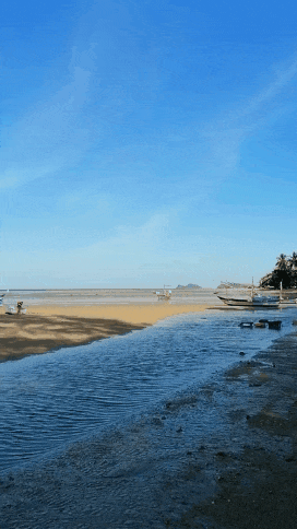 GIF_20240608_132846_786.gif