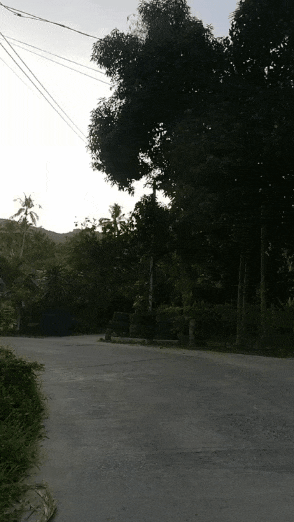 GIF_20240608_132707_264.gif