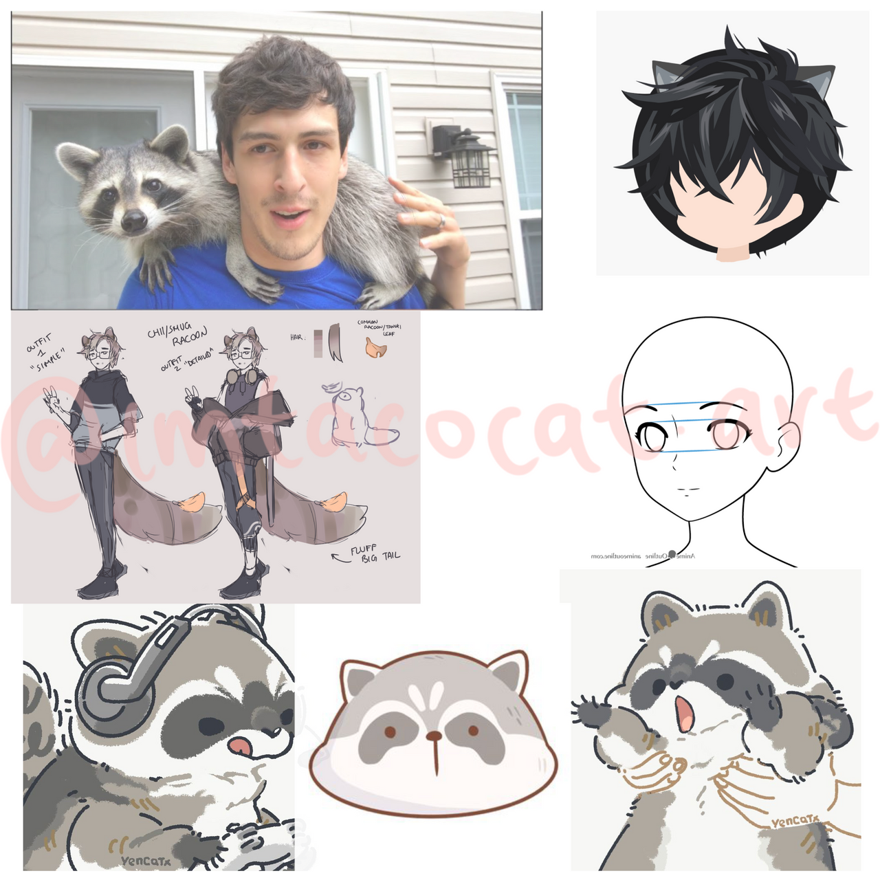 Amazon.com: Chibi Kawaii Raccoon Anime Japanese Funny Cute Baby Raccoon  PopSockets Swappable PopGrip : Cell Phones & Accessories