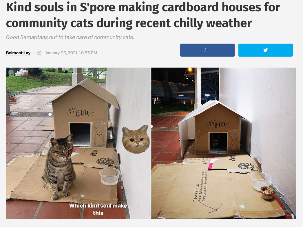 Neko atsume hotsell cardboard house