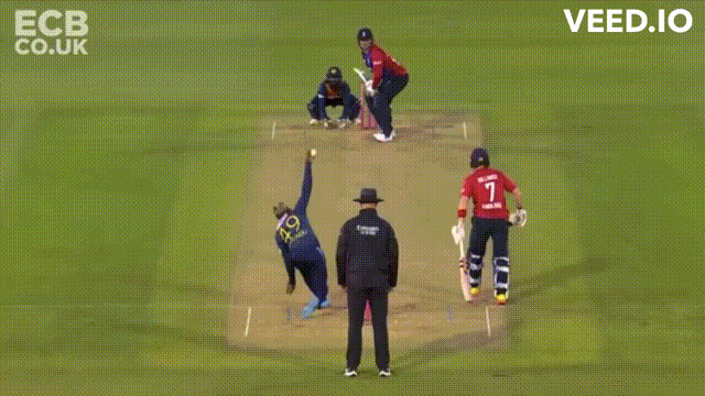 hasaranga vs roy.gif