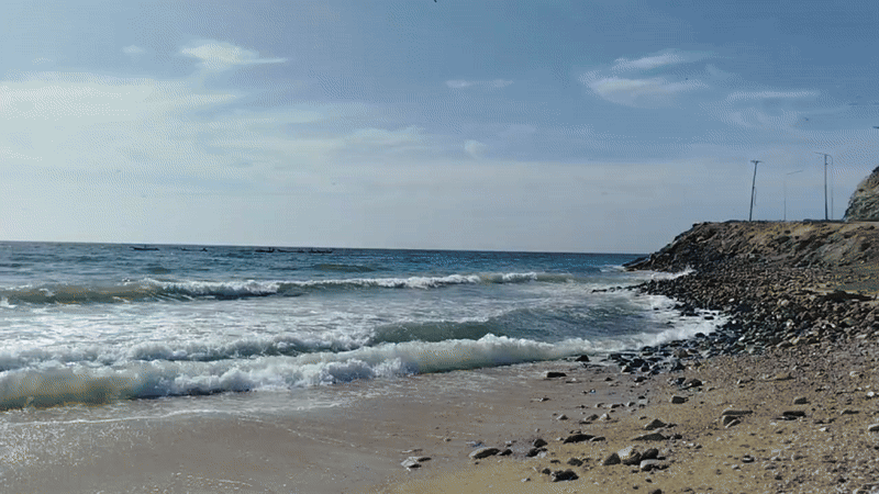 gif.gif