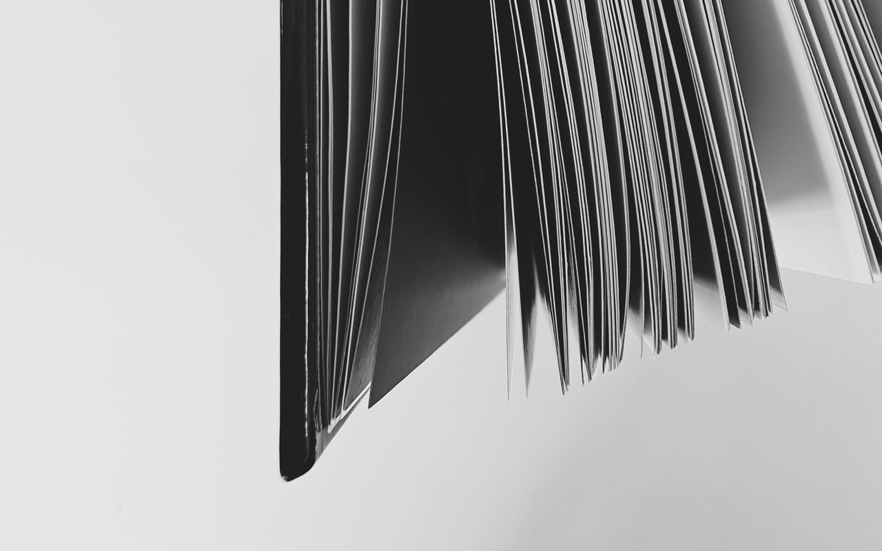 https://files.peakd.com/file/peakd-hive/tarazkp/23zGm3gaYmsg39UkpDhQRsJqGxucByax6x5nBfgVAnYDB8HVLSUxfVTJdNeq8JgcFjsf2.jpg