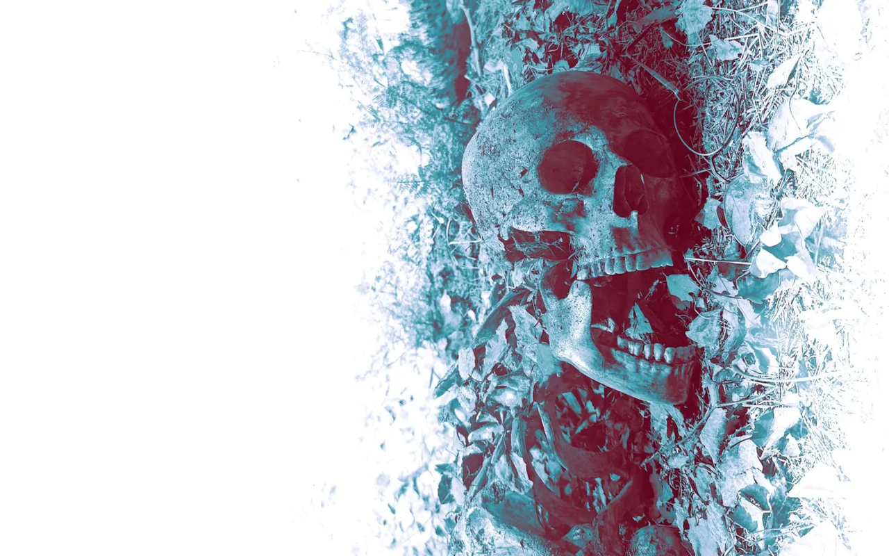 https://files.peakd.com/file/peakd-hive/tarazkp/2458dGGp9Pu9dwAHrhiPK96hbmwvGedBkASQ4adXDQuEydtpa278mrawAtGUhu6PUhU37.png