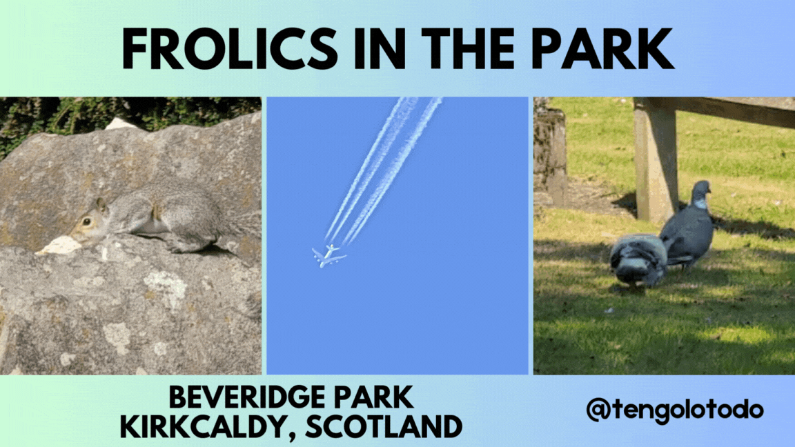 Frolics in the park (3).gif