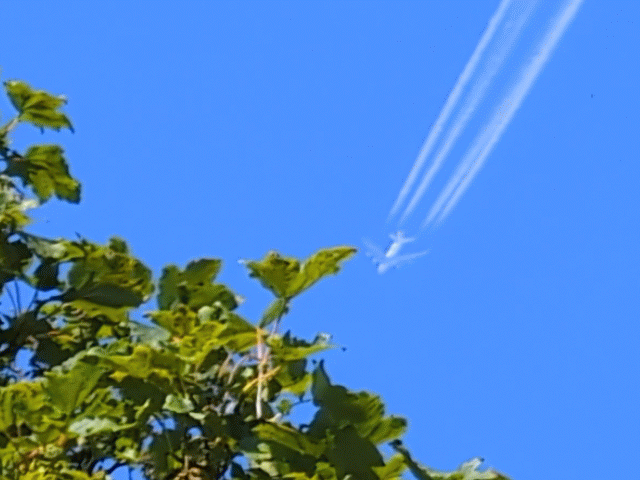 Beverly Park 17 Aug Plane gif.gif