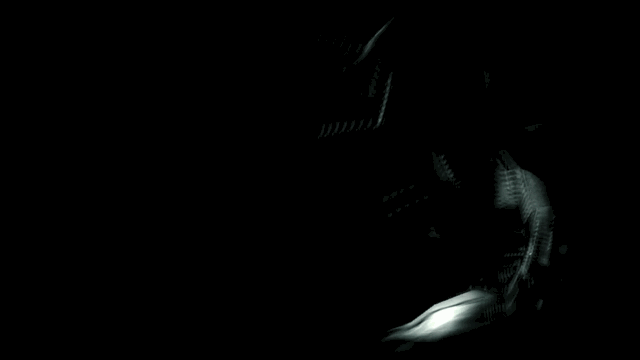 13.gif