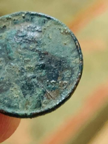 rsz_1919_coin.jpg