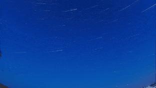 20230712_115459.gif