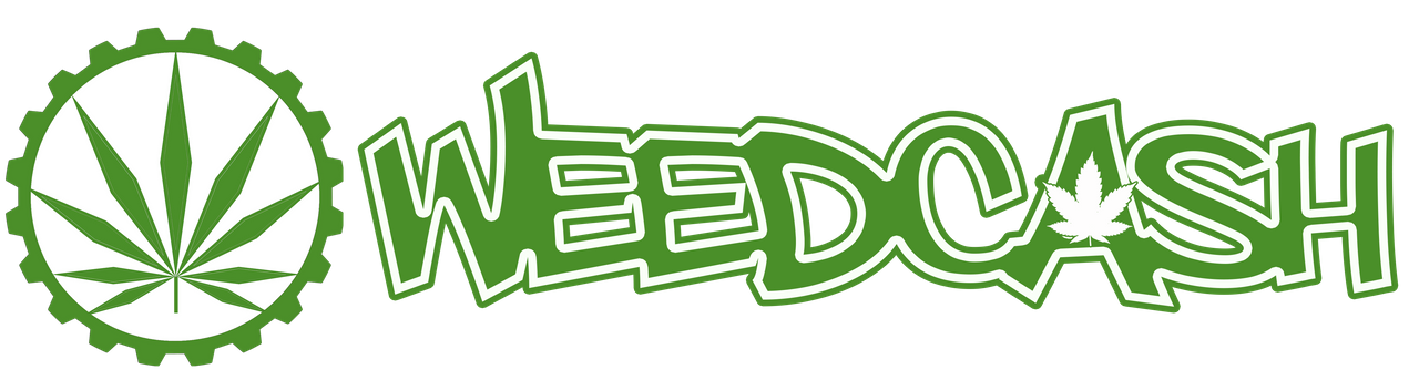 https://files.peakd.com/file/peakd-hive/thelogicaldude/23wgFgmjY9C8MfZ8qTB1X9W3sfkGtdVzmE9L21KWMqkfmdYtTwoYaK44WZ8Q78Uu5omqe.png