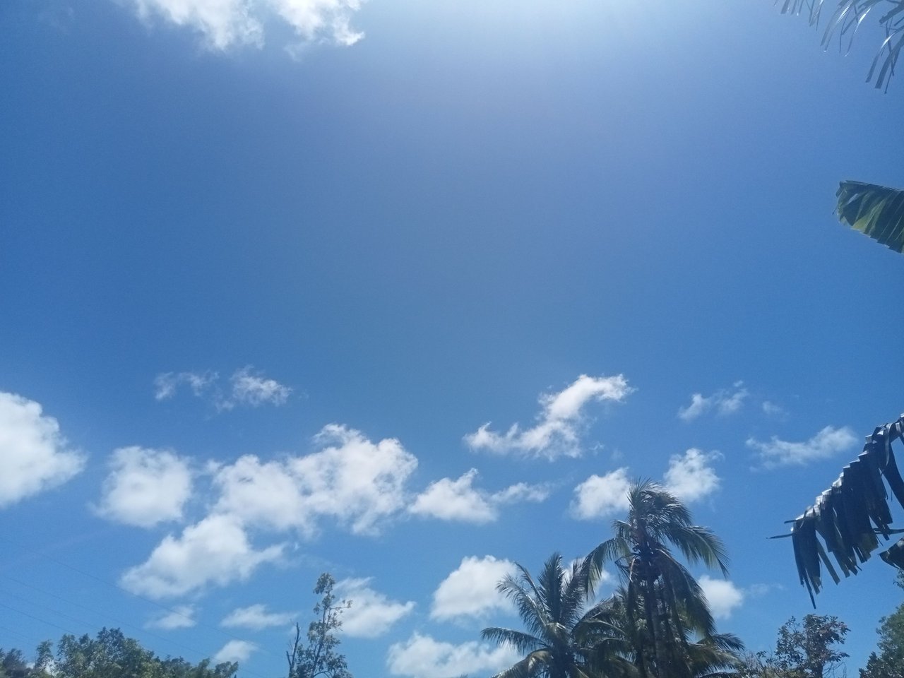 https://files.peakd.com/file/peakd-hive/toniagurl27/EoprU2WFgn9qMPt3sh8PnUdGu62MFjWVQQXTrcbce1Ljsm8DRTg98rSDsqChCSS3jw3.jpg