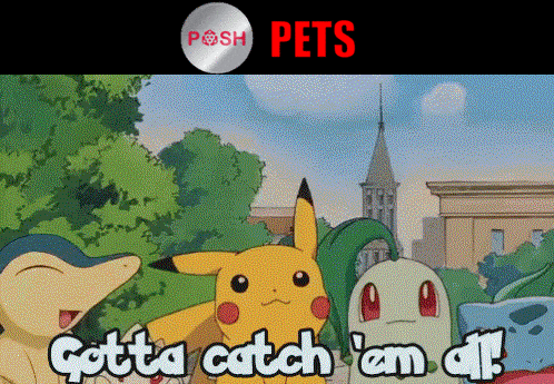 posh pets gotta catch them all.gif