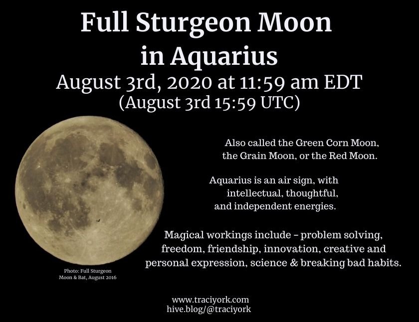 The Moon In Aquarius Blog