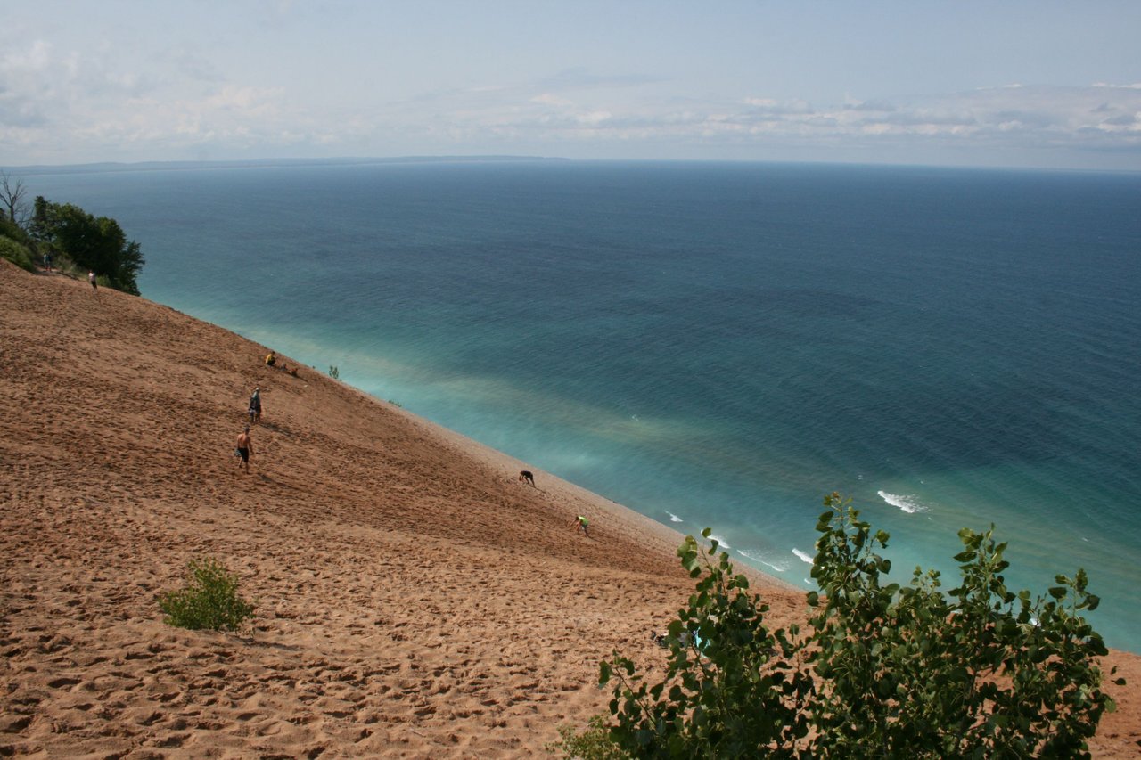 Fungal Finds from a Weekend at Sleeping Bear Dunes National Lakeshore