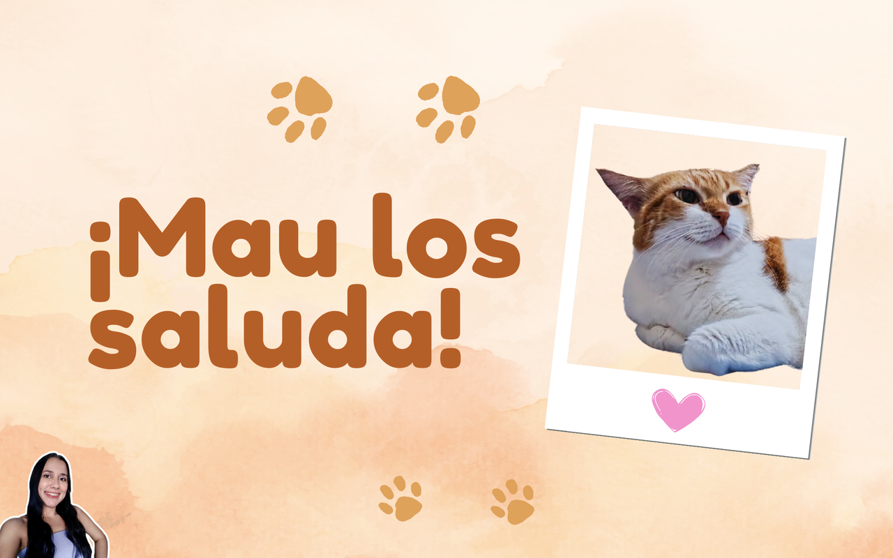 ¡Mi gata Mau pasa a saludar! 🐱  ES|ENG 