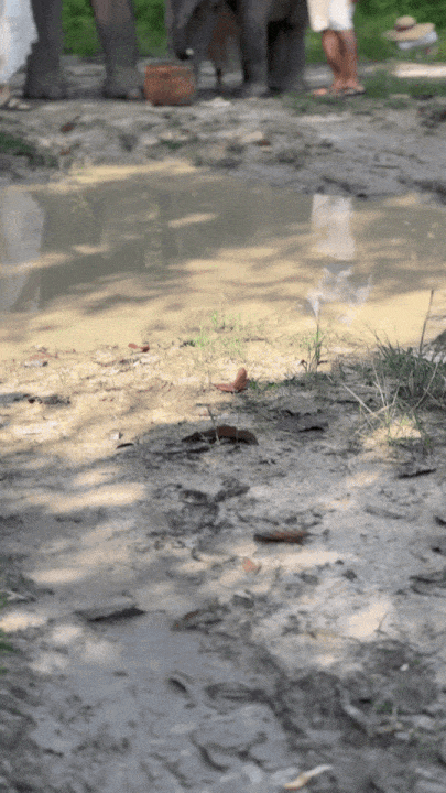 IMG_1595-ezgif.com-optimize+(1).gif