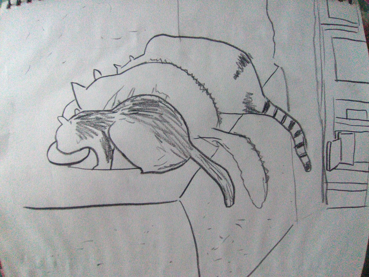 A beaver(?) and 2 cats eating - Speed drawing 