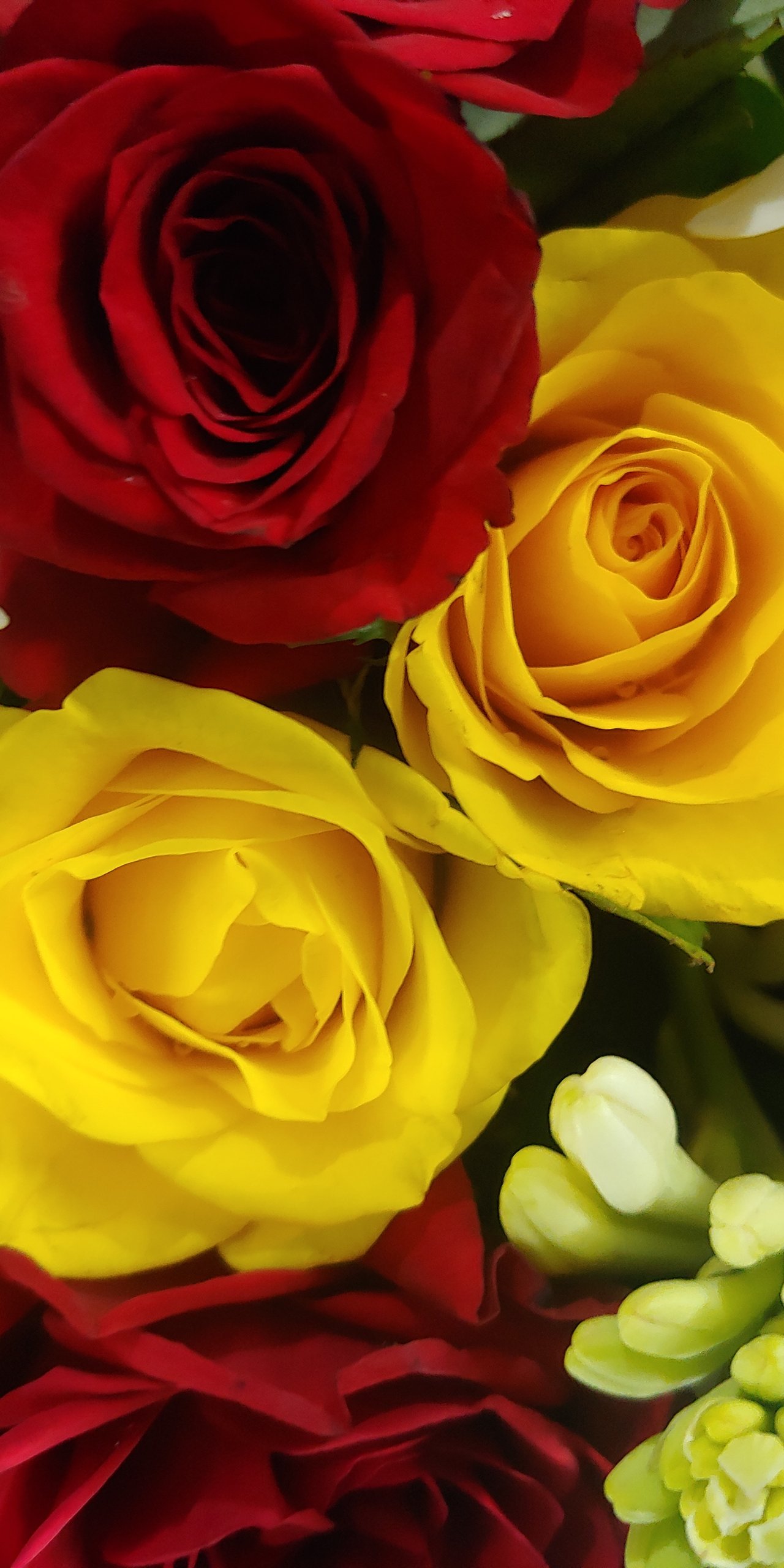 20191217_214824.jpg