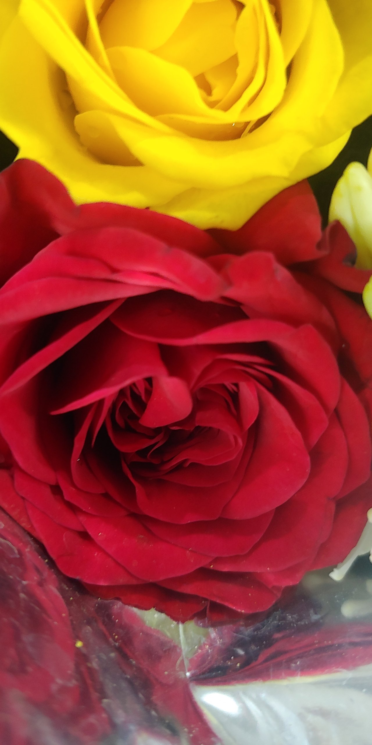 20191217_214814.jpg