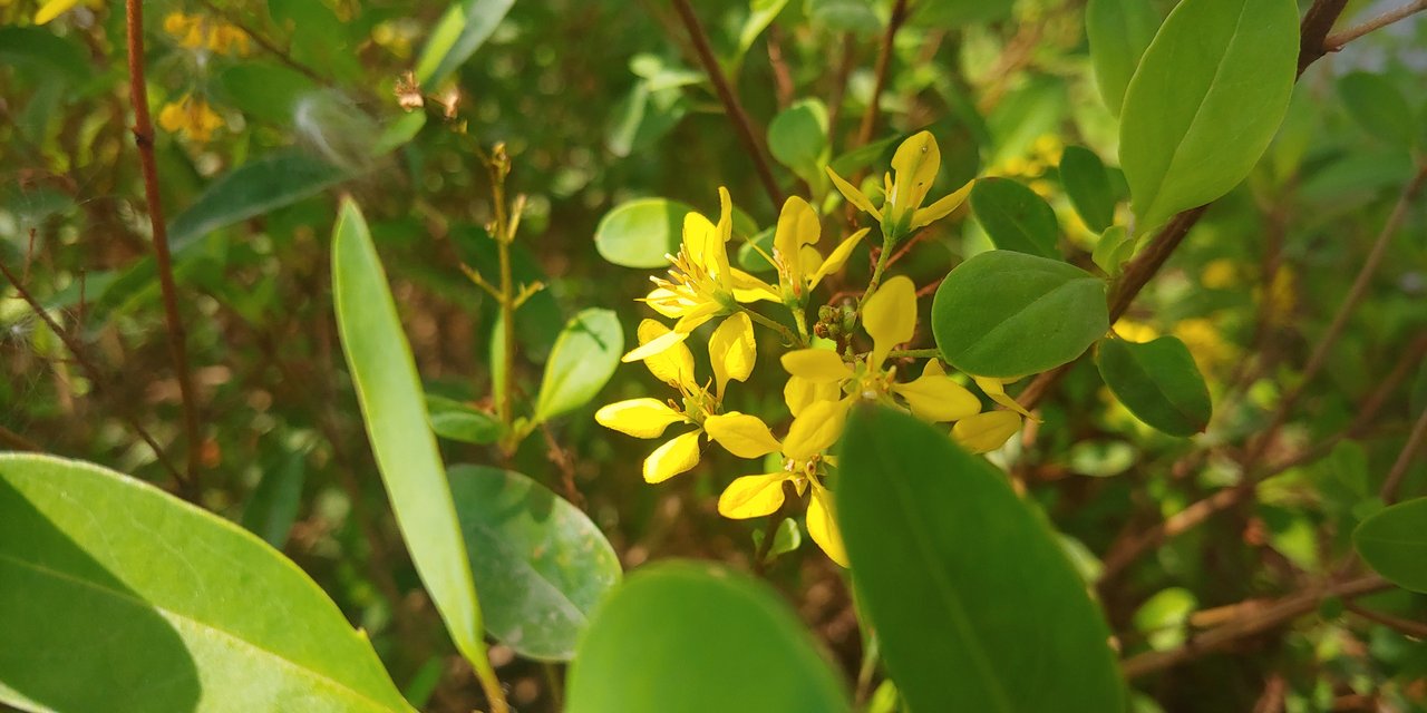 20191207_111737.jpg