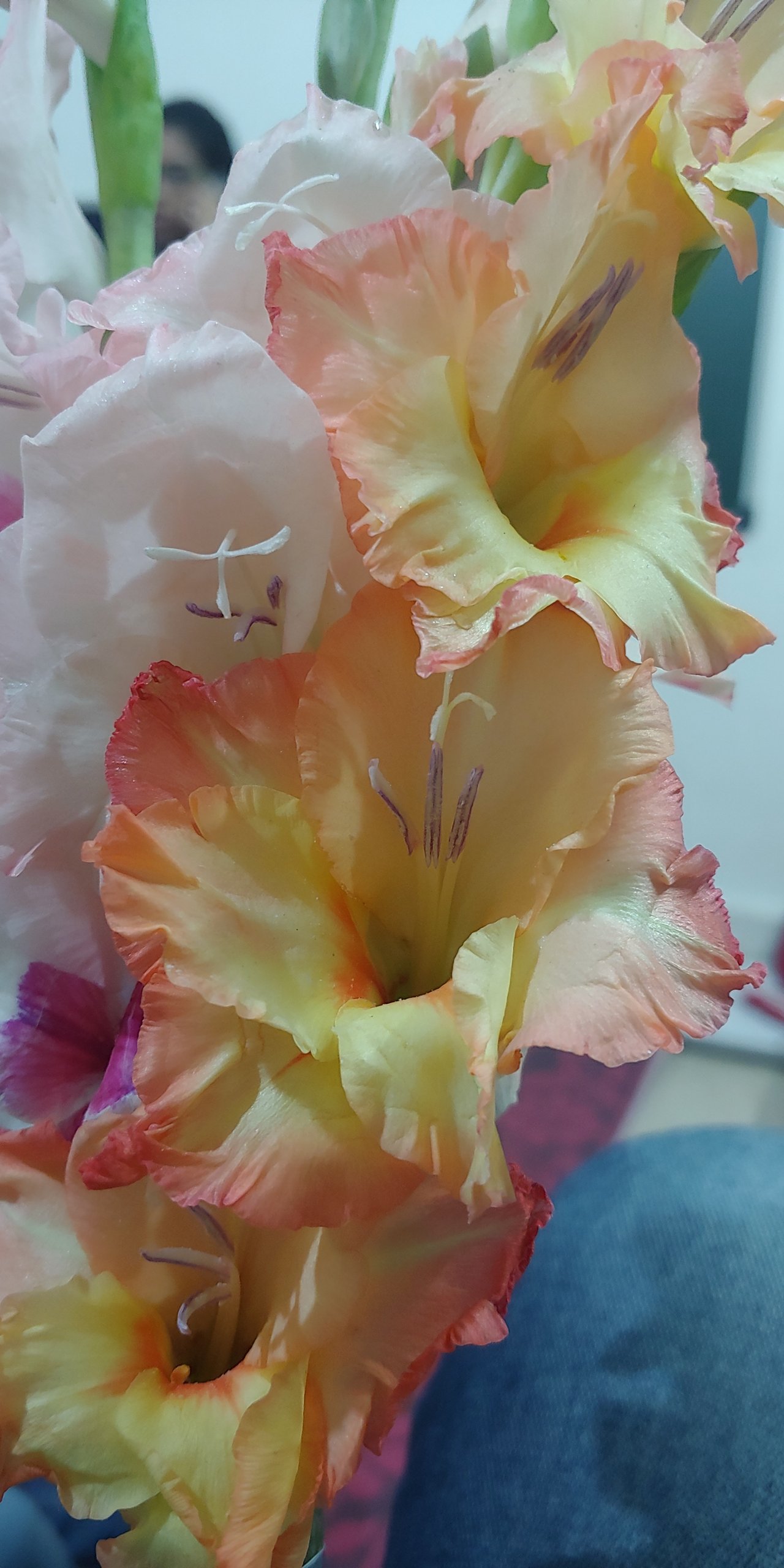 20191217_214104.jpg