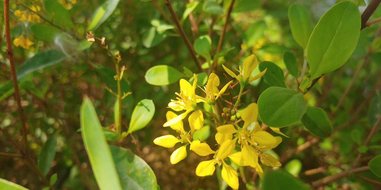 20191207_111740.jpg
