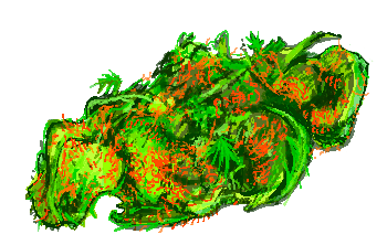 https://files.peakd.com/file/peakd-hive/web-gnar/23tm6twHkZhXYzG9PjQ2V3KgQzgXEoeHnxJ3v2E7VJGnBbgTXHLvqSBEnTarNUyNM68CH.png