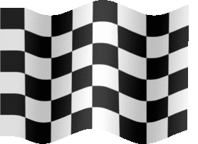 checkered-flag-XL-anim.gif