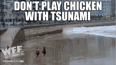 giphy (1).gif