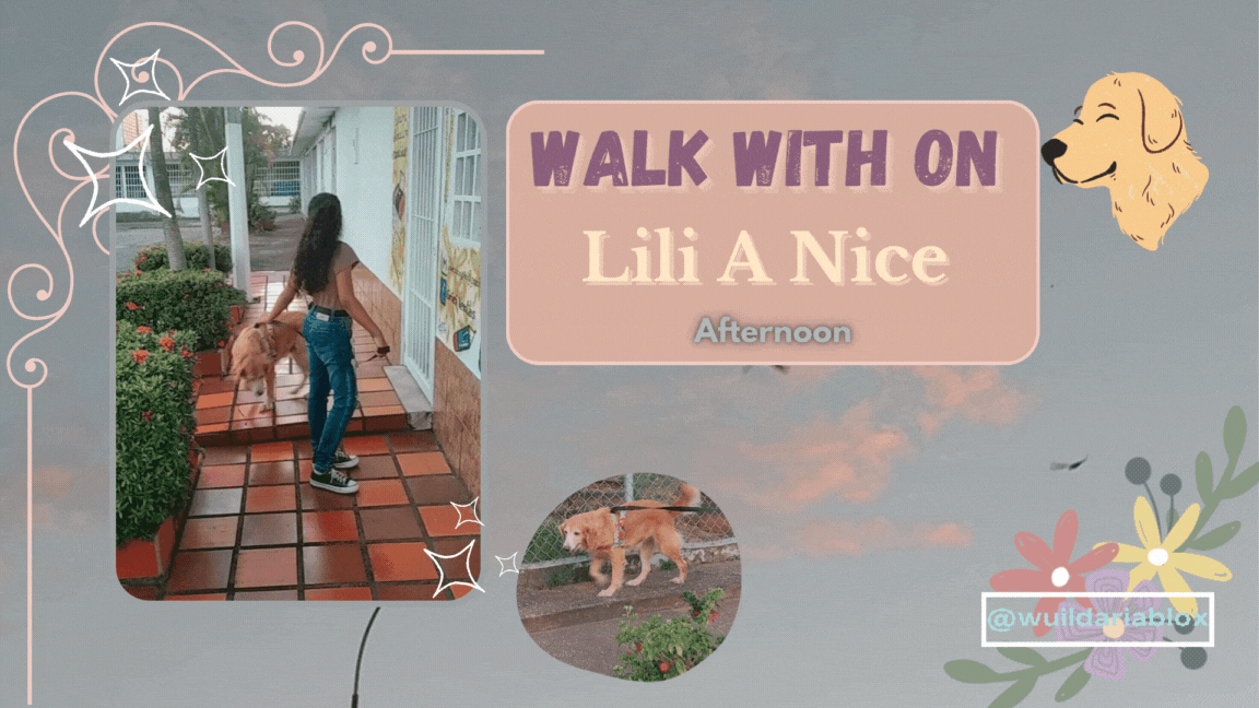 Walk with Lili on a nice afternoon.gif