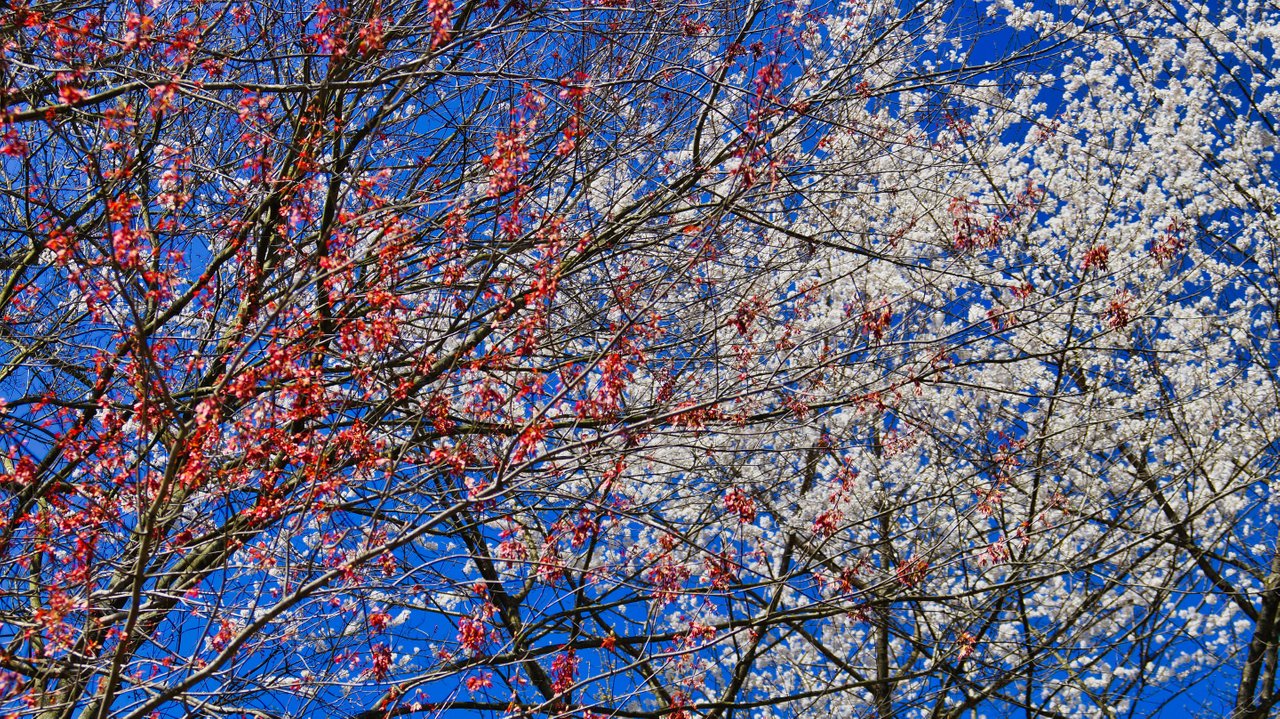 _DSC7614.jpeg