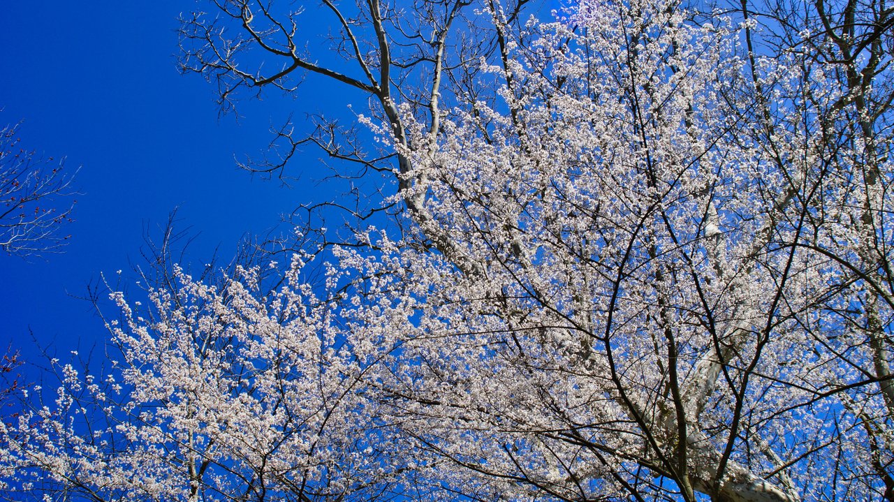 _DSC7618.jpeg
