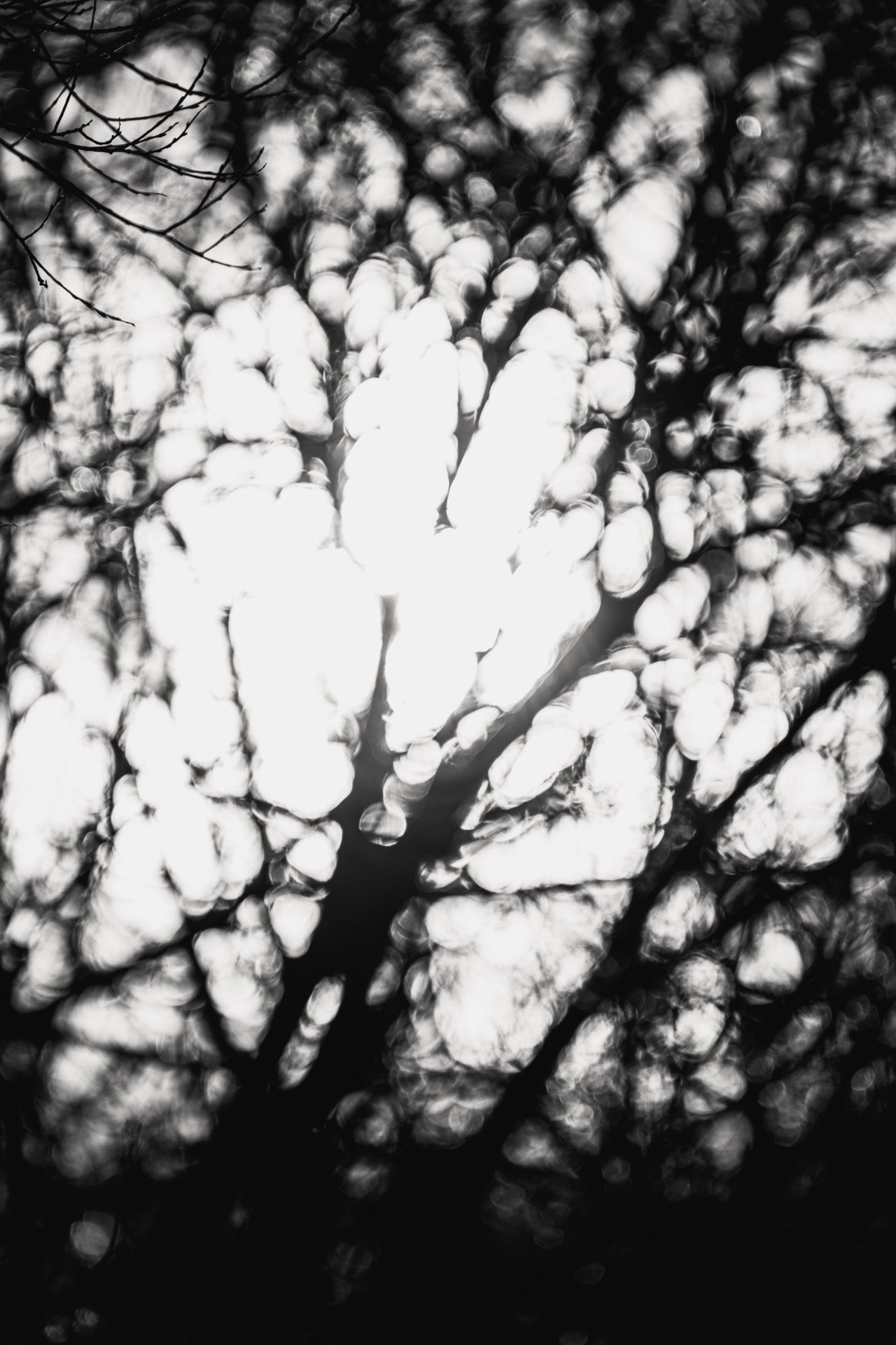 Some creative Bokeh photos- My entry for #Monomad | PeakD