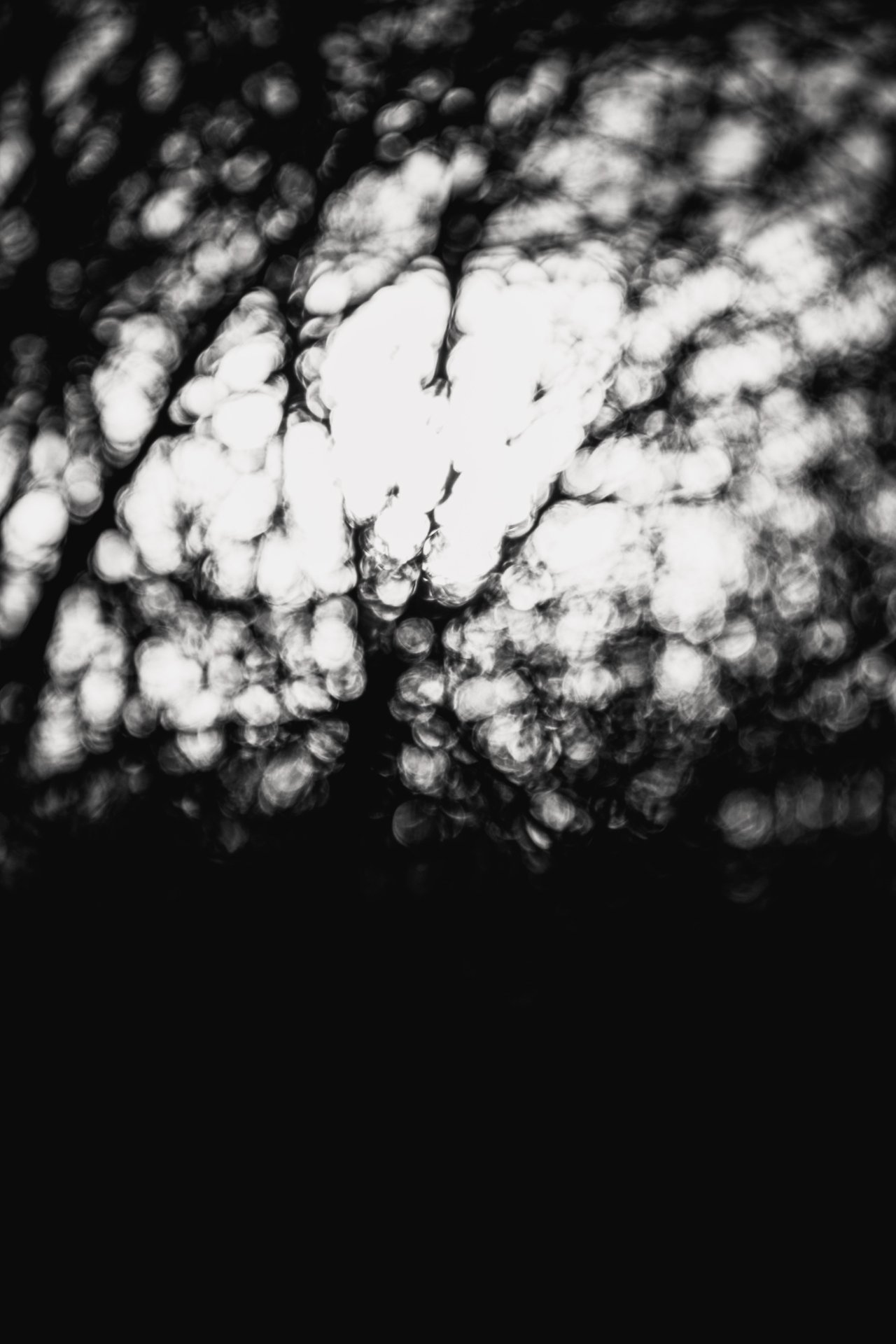 Some creative Bokeh photos- My entry for #Monomad | PeakD
