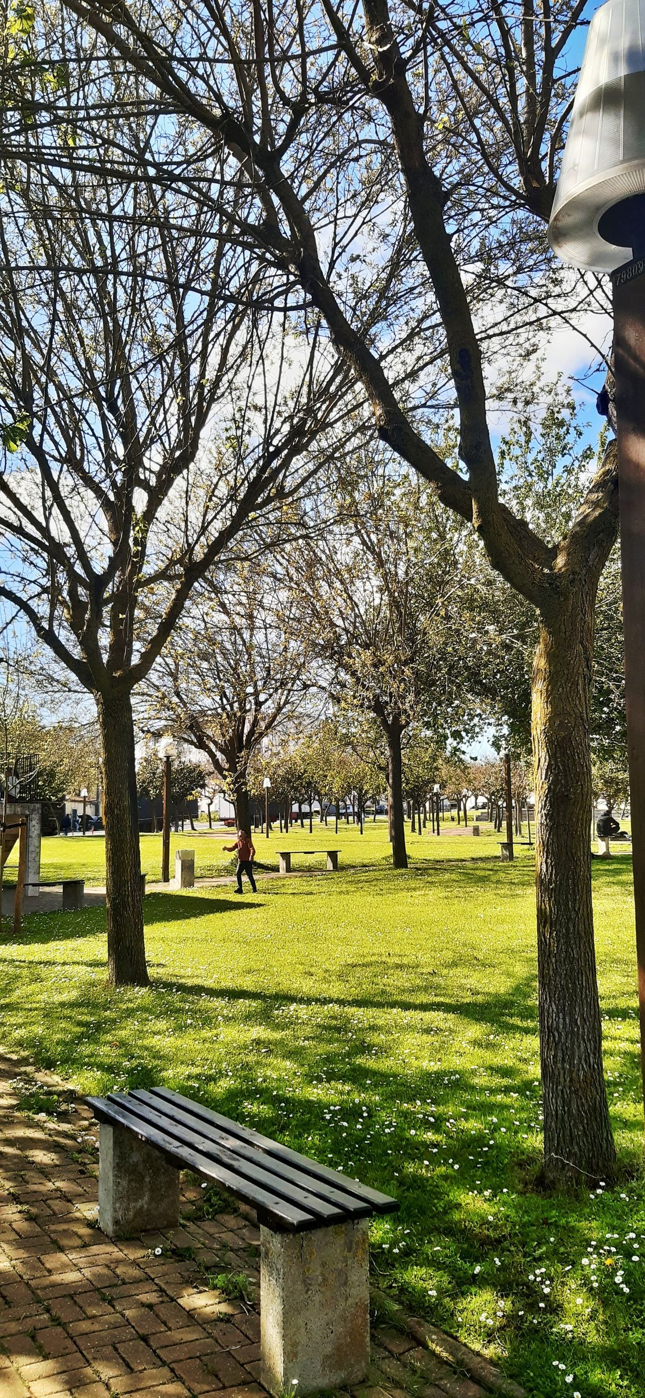20250406_164330.jpg